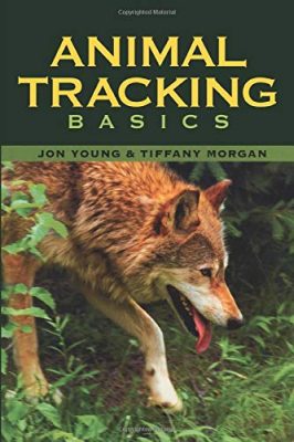 animaltracking